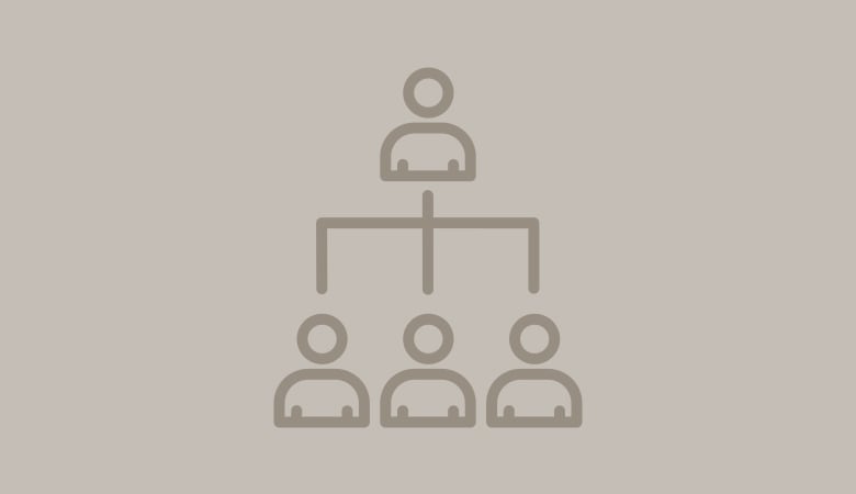 Professional Corporation